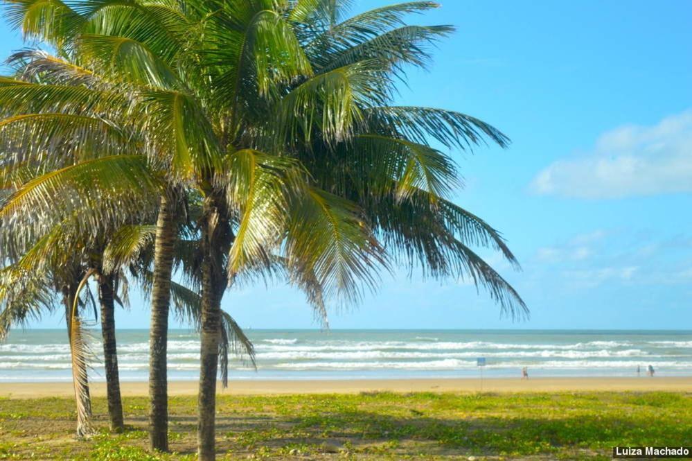 Aruana Beach Flat - Seu Ape Na Praia De Aruana, Aracaju! Exterior photo